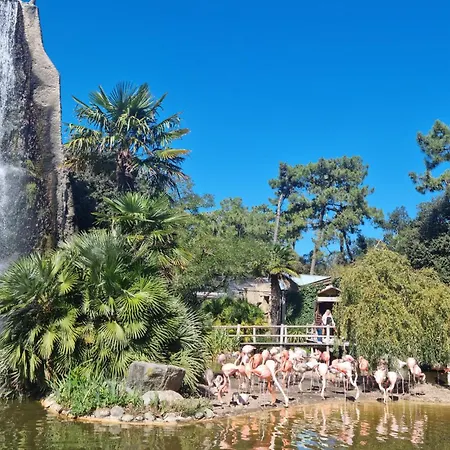 Prázdninový dům 3 Bedroom Gorgeous In *